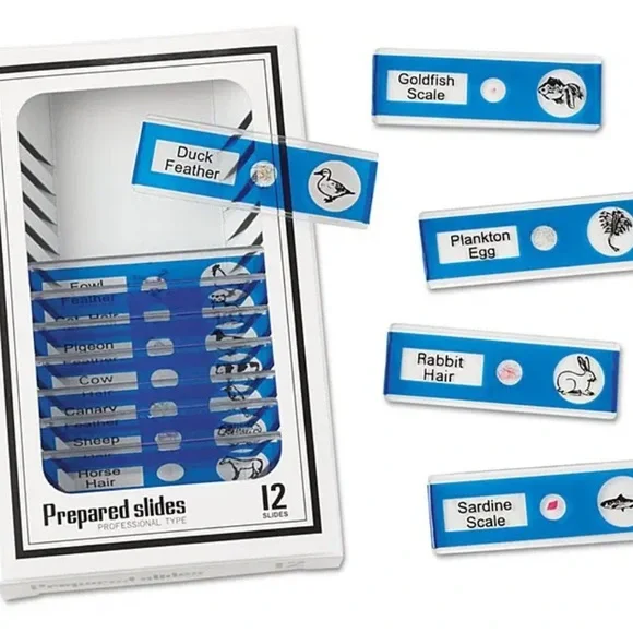 NEW! Prepared Microscope Slides by Lakeshore Learning - unused, still in boxes - Picture 5 of 11